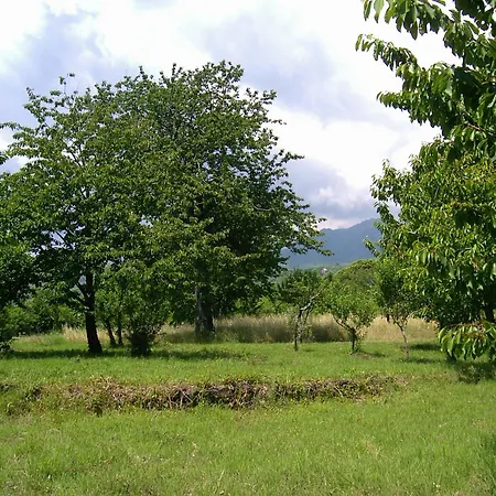 Cirasellaetna * SantʼAlfio
