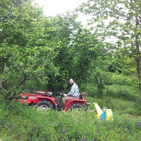 Cirasellaetna Alloggio per agriturismo
