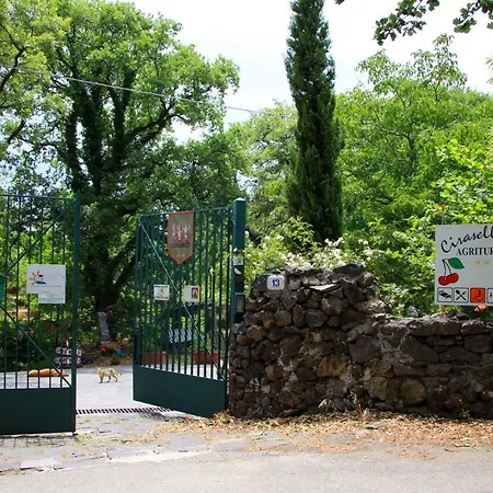 Alloggio per agriturismo Cirasellaetna *