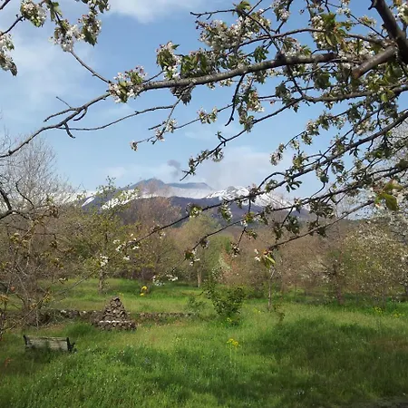 Alloggio per agriturismo Cirasellaetna