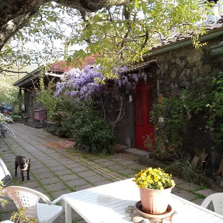 Cirasellaetna * SantʼAlfio