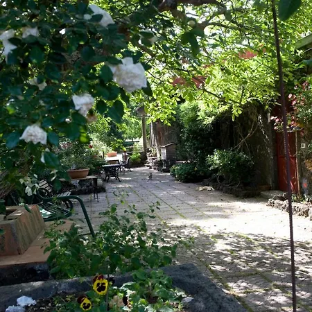 Cirasellaetna Farm stay